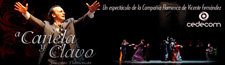 Espect�culo flamenco internacional con traducciones al japon�s, ingl�s, alem�n y franc�s